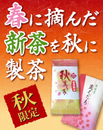 春に摘んだ新茶を秋に製茶