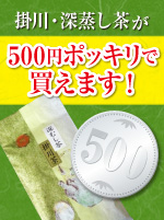 掛川・深蒸し茶が500円ポッキリで買えます！